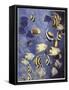 Zoology: Fishes: Different Examples-null-Framed Stretched Canvas