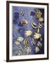 Zoology: Fishes: Different Examples-null-Framed Giclee Print