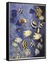 Zoology: Fishes: Different Examples-null-Framed Stretched Canvas