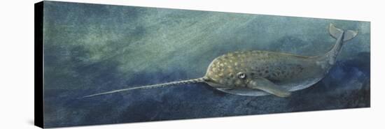 Zoology: Fishes: Mammalia, Cetacea, Narwhal (Monodon Monoceros)-null-Stretched Canvas