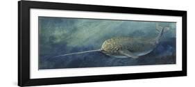 Zoology: Fishes: Mammalia, Cetacea, Narwhal (Monodon Monoceros)-null-Framed Giclee Print