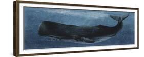 Zoology: Fishes: Mammalia, Cetacea, Sperm Whale-null-Framed Giclee Print