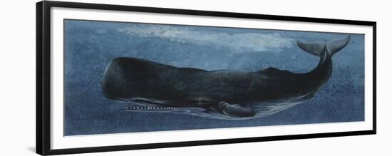 Zoology: Fishes: Mammalia, Cetacea, Sperm Whale-null-Framed Giclee Print
