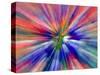 Zoom Abstract of Pansy Flowers-Charles R. Needle-Stretched Canvas