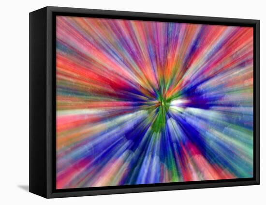 Zoom Abstract of Pansy Flowers-Charles R. Needle-Framed Stretched Canvas