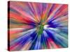 Zoom Abstract of Pansy Flowers-Charles R. Needle-Stretched Canvas