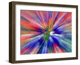 Zoom Abstract of Pansy Flowers-Charles R. Needle-Framed Photographic Print