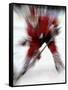 Zoom Explosion View of Ice Hockey Player-Paul Sutton-Framed Stretched Canvas