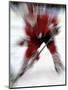 Zoom Explosion View of Ice Hockey Player-Paul Sutton-Mounted Premium Photographic Print