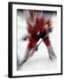 Zoom Explosion View of Ice Hockey Player-Paul Sutton-Framed Photographic Print