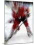Zoom Explosion View of Ice Hockey Player-Paul Sutton-Mounted Photographic Print