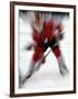 Zoom Explosion View of Ice Hockey Player-Paul Sutton-Framed Photographic Print