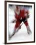 Zoom Explosion View of Ice Hockey Player-Paul Sutton-Framed Photographic Print