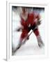 Zoom Explosion View of Ice Hockey Player-Paul Sutton-Framed Photographic Print