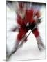 Zoom Explosion View of Ice Hockey Player-Paul Sutton-Mounted Photographic Print