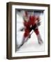 Zoom Explosion View of Ice Hockey Player-Paul Sutton-Framed Photographic Print