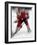 Zoom Explosion View of Ice Hockey Player-Paul Sutton-Framed Photographic Print