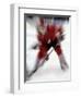 Zoom Explosion View of Ice Hockey Player-Paul Sutton-Framed Photographic Print