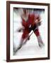 Zoom Explosion View of Ice Hockey Player-Paul Sutton-Framed Photographic Print