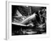 Zoom-Stephen Arens-Framed Photographic Print