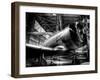 Zoom-Stephen Arens-Framed Premium Photographic Print