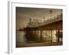 Zoombee-Tim Kahane-Framed Photographic Print