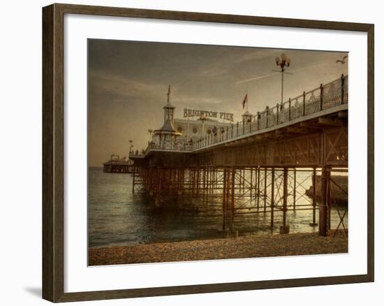 Zoombee-Tim Kahane-Framed Photographic Print