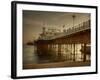 Zoombee-Tim Kahane-Framed Photographic Print