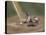 Zoomed View of Batter, Catcher and Umpire at Home Plate-null-Stretched Canvas