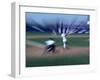 Zoomed View of Batter, Catcher and Umpire at Home Plate-null-Framed Photographic Print