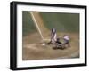 Zoomed View of Batter, Catcher and Umpire at Home Plate-null-Framed Photographic Print