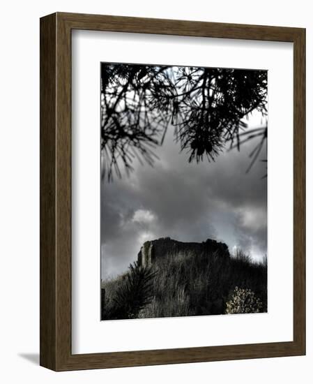 Zoomify-Tim Kahane-Framed Photographic Print