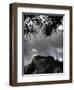 Zoomify-Tim Kahane-Framed Photographic Print