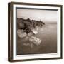 Zoomster-David Baker-Framed Photographic Print