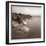 Zoomster-David Baker-Framed Photographic Print