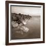 Zoomster-David Baker-Framed Photographic Print