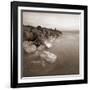 Zoomster-David Baker-Framed Photographic Print