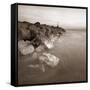 Zoomster-David Baker-Framed Stretched Canvas