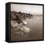 Zoomster-David Baker-Framed Stretched Canvas