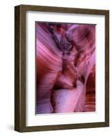 Zootri-Jim Crotty-Framed Photographic Print