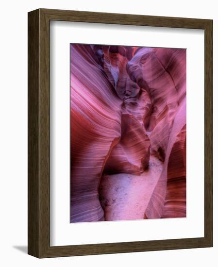 Zootri-Jim Crotty-Framed Photographic Print