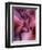 Zootri-Jim Crotty-Framed Photographic Print