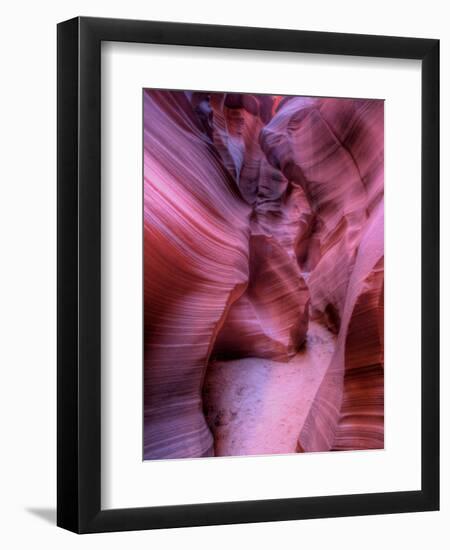 Zootri-Jim Crotty-Framed Photographic Print