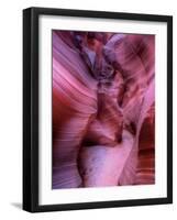 Zootri-Jim Crotty-Framed Photographic Print