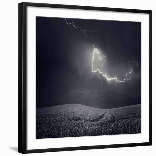 Zootz-Luis Beltran-Framed Photographic Print