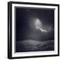 Zootz-Luis Beltran-Framed Photographic Print