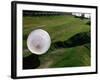 Zorbs People Moving Inside Balls on Lawn, Rotorua, New Zealand-John Banagan-Framed Photographic Print