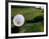 Zorbs People Moving Inside Balls on Lawn, Rotorua, New Zealand-John Banagan-Framed Photographic Print