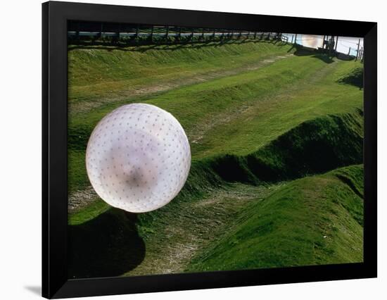 Zorbs People Moving Inside Balls on Lawn, Rotorua, New Zealand-John Banagan-Framed Photographic Print