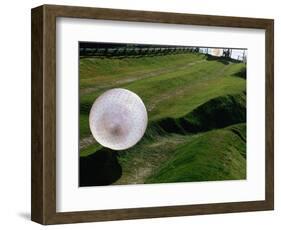 Zorbs People Moving Inside Balls on Lawn, Rotorua, New Zealand-John Banagan-Framed Photographic Print